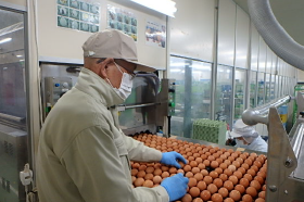 洗卵・選別のイメージ