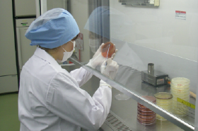 洗卵・選別のイメージ